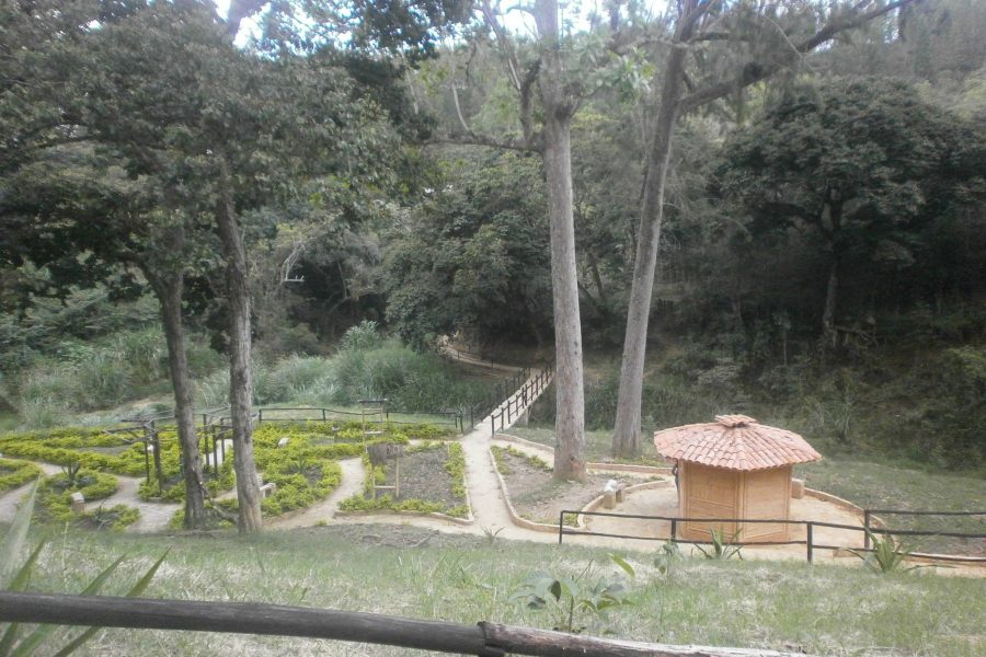 Sendero del Fique