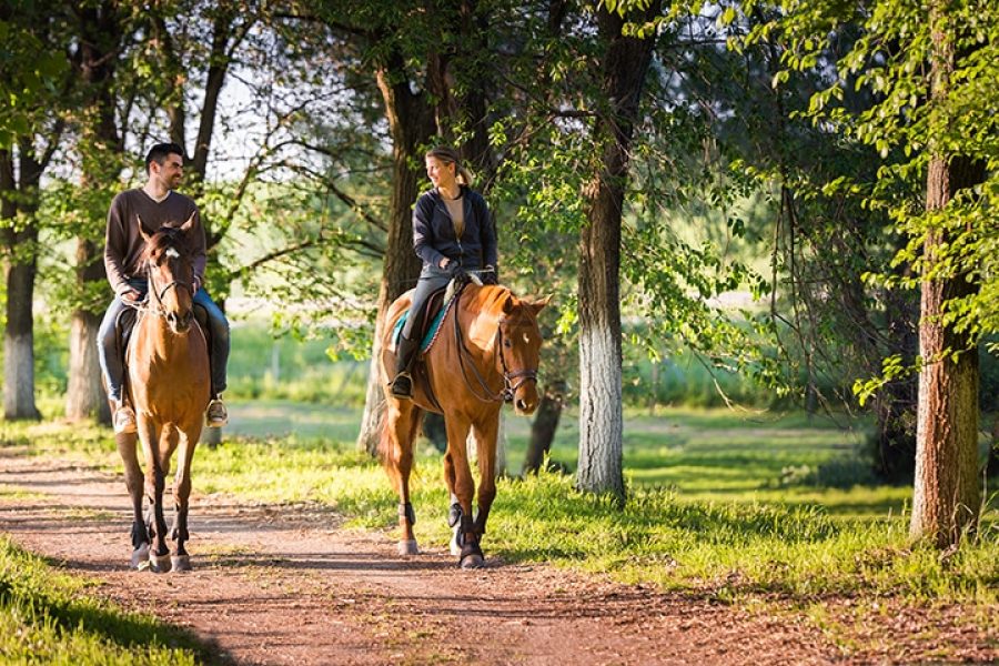 Cabalgata