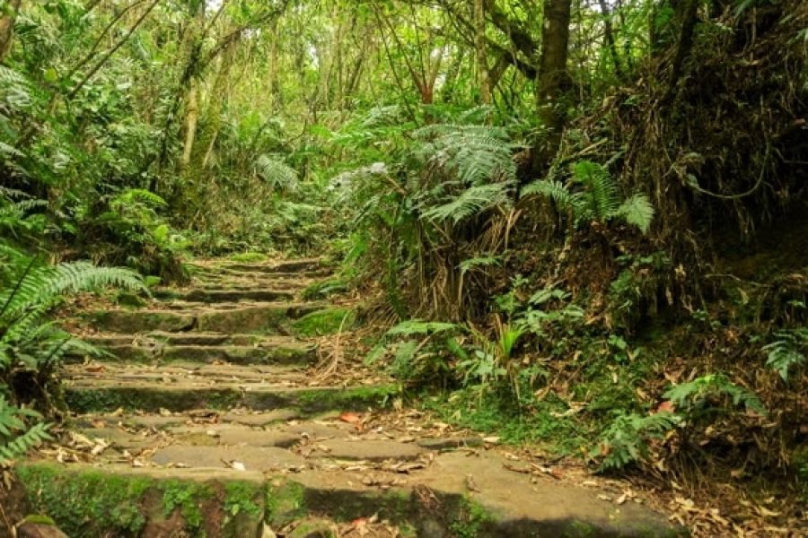 Excursión al Parque Natural Chicaque