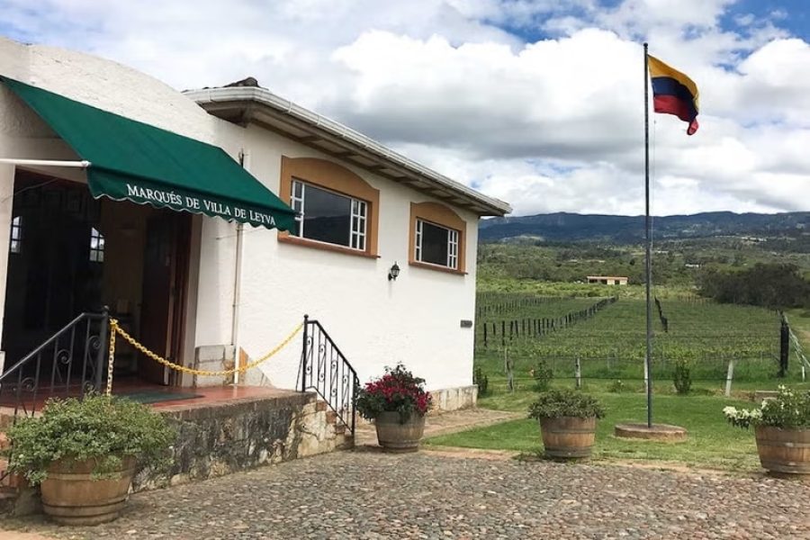 Viñedo Marqués de Villa de Leyva