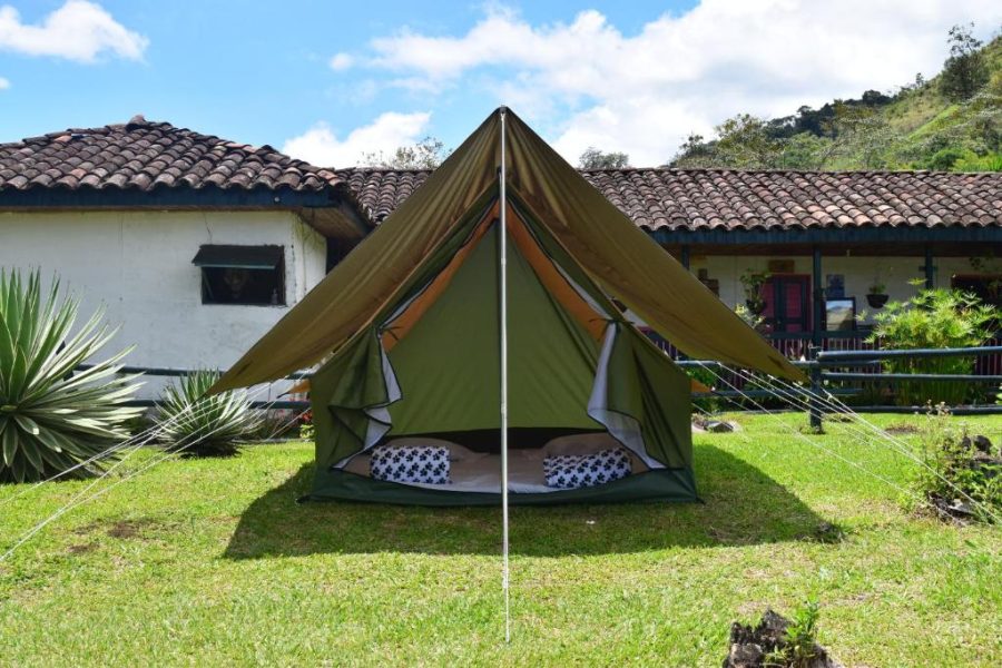 Ecolife Calima