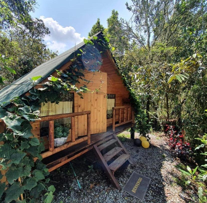 Glamping Pigmalion Santa Elena