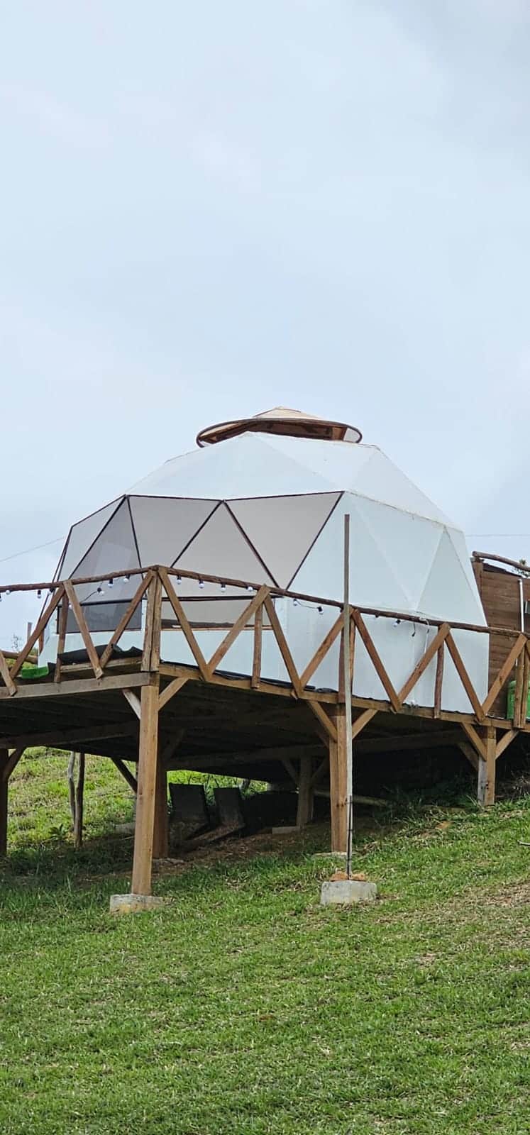 Glamping Domo Wood